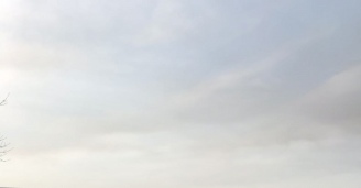 Фото Удивительное рядом №20