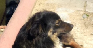 Фото Как когда-то в детстве №9